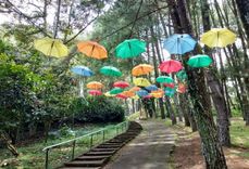 Info Wisata Bukit Baros; Aktivitas, Daya Tarik dan Harga Tiket Masuk