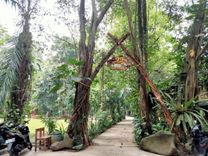 Kampung 99 Pepohonan, Objek Wisata Keluarga yang Edukatif di Depok