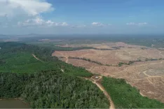 Jelajah Wilayah Ibu Kota Baru Penajam Paser Utara | Rumah123.com