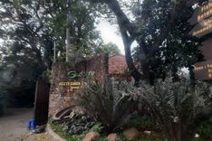 Godong Ijo, Melihat Tanaman Langka & Ikan Monster