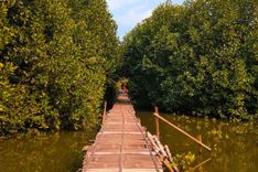 Jasmine Park Cisauk, Wisata Baru di Tangerang yang Memiliki Mini Zoo