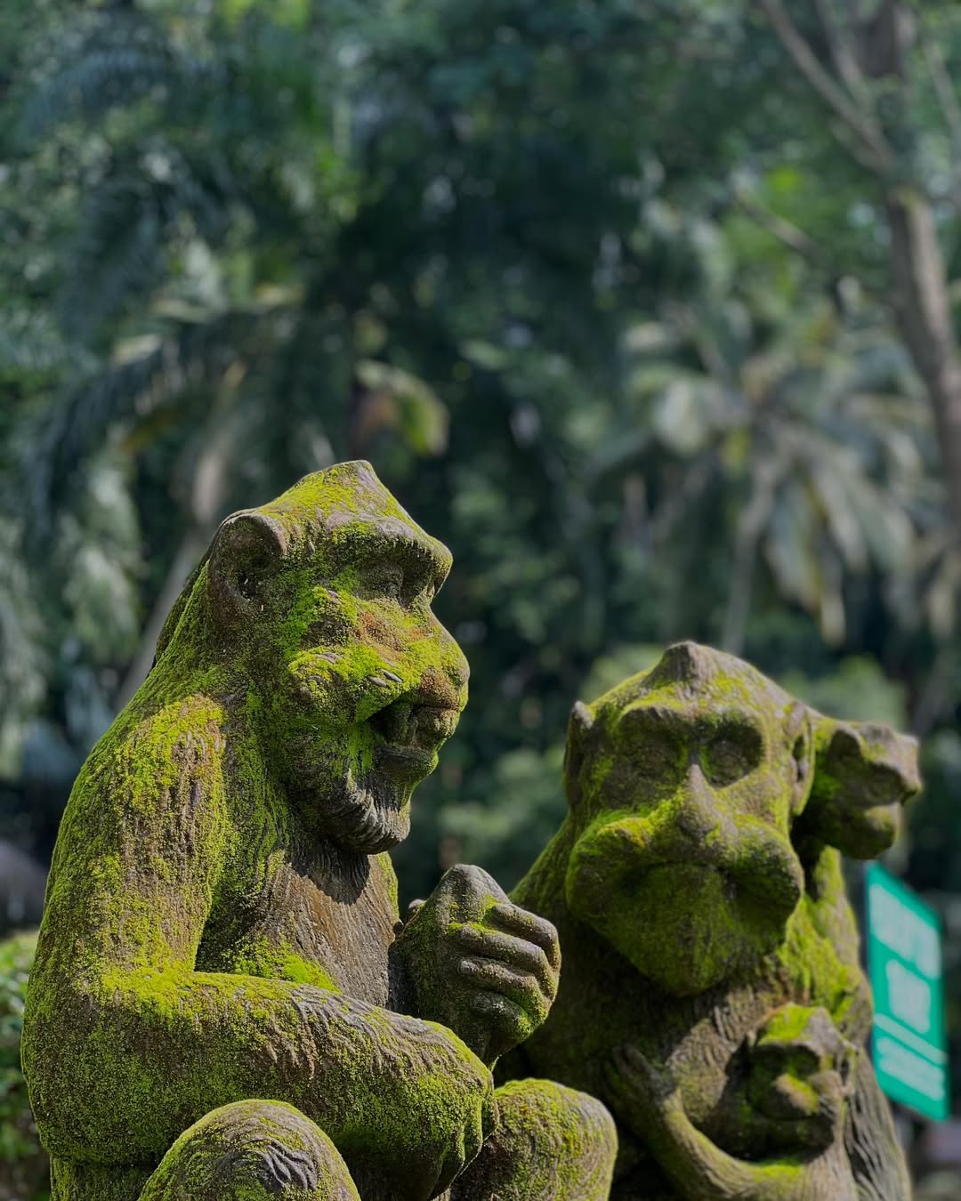 ulasan sangeh monkey forest.jpg