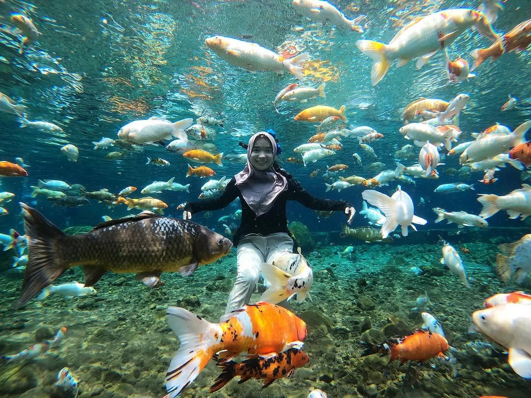 umbul ponggok photos.jpg