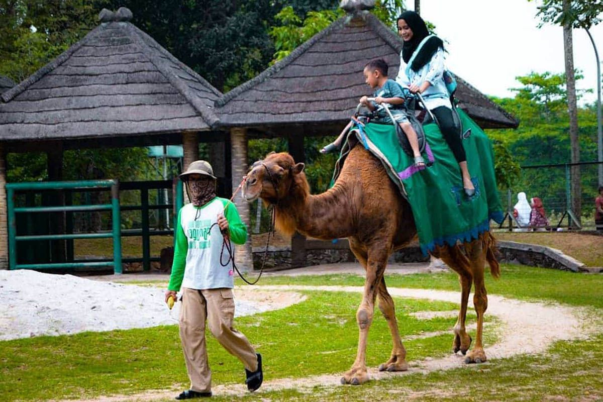 wahana di kebun binatang ragunan