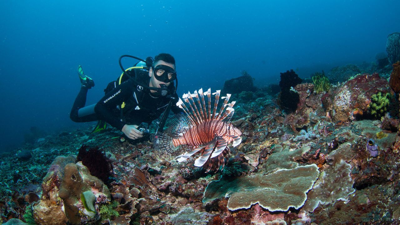 wisata diving di bali.jpg