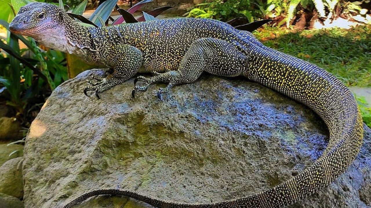 wisata edukasi di bali.jpg