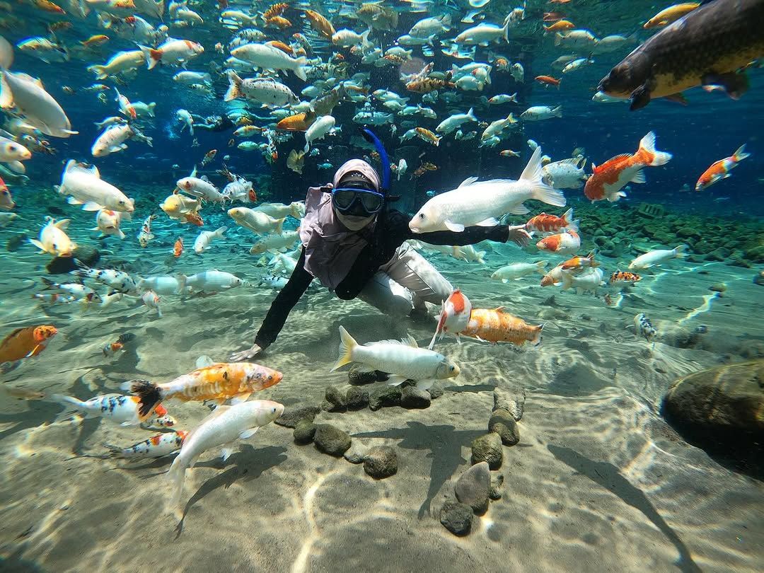 wisata klaten umbul ponggok.jpg