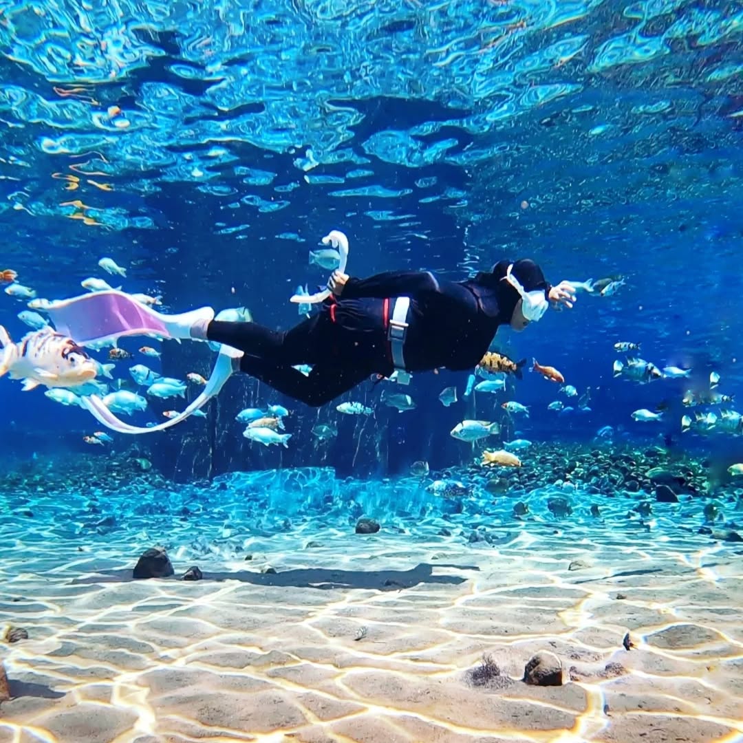 wisata umbul ponggok.jpg